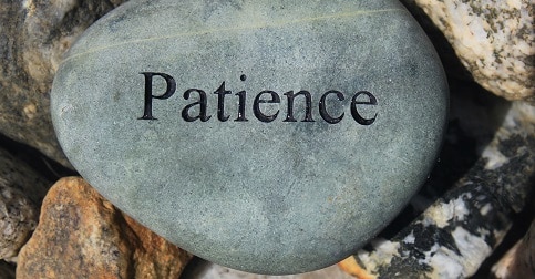 Patience truly is a virtue.